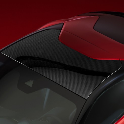 Carbon fiber roof cover